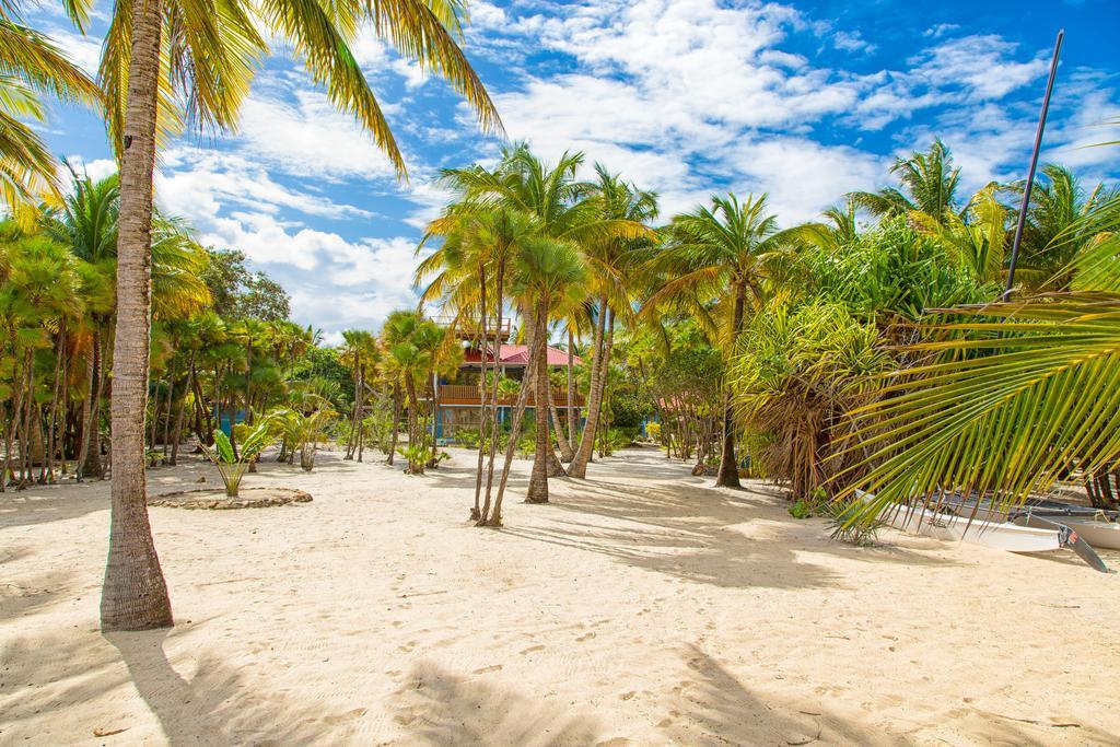 Готель Wild Orchid Placencia Екстер'єр фото