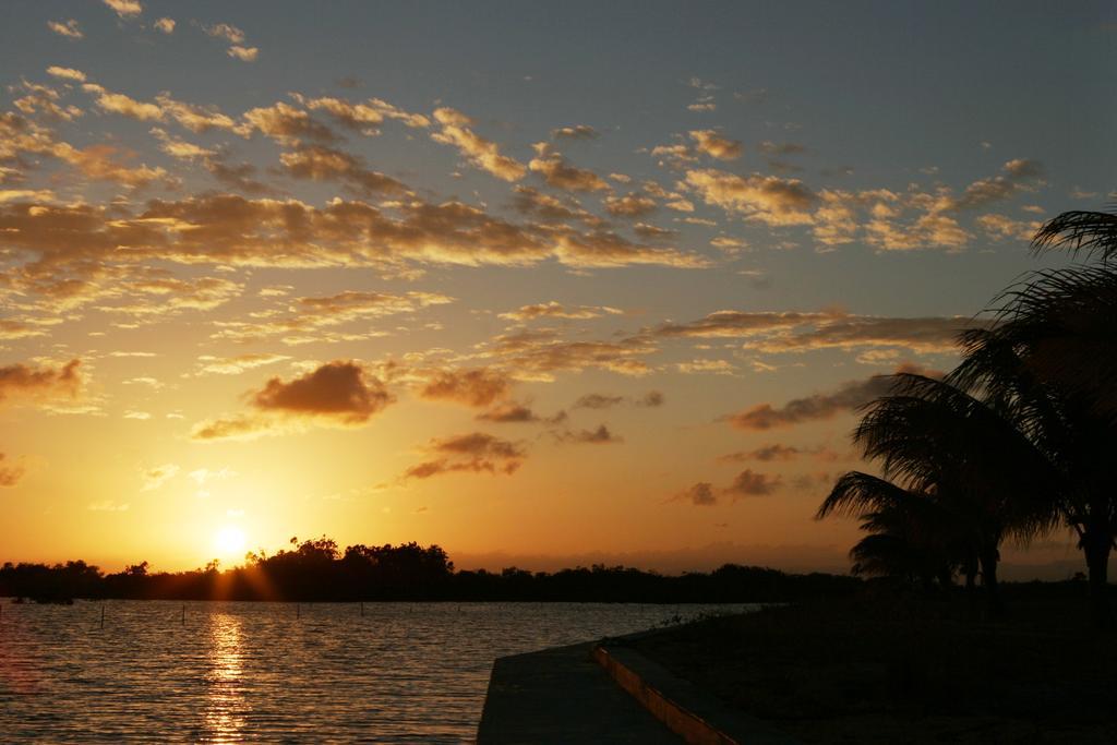 Готель Wild Orchid Placencia Номер фото